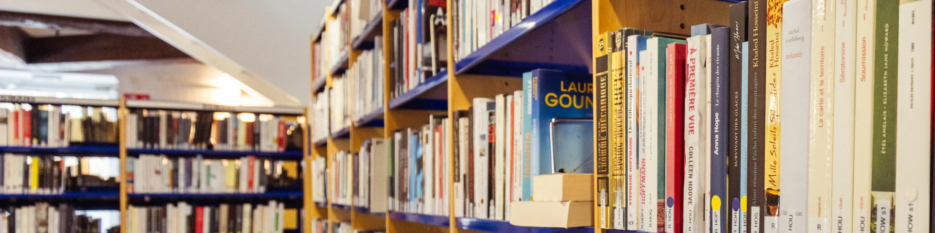 Médiathèque Villedieu