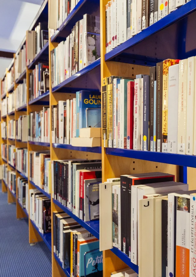 Médiathèque Villedieu